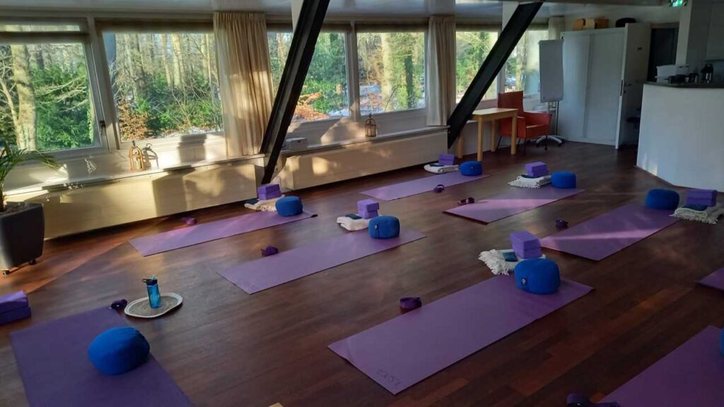 Back Bend Assist Trainer Deur Yoga Strap Stretching Multifunctionele Splitsingen Verbeter de Flexibiliteit Gym Hotel Outdoor Polyester Back Bend Assist Trainer Deur Yoga Strap Stretching Multifunctionele Splitsingen Verbeter de Flexibiliteit Gym Hotel Outdoor Polyester